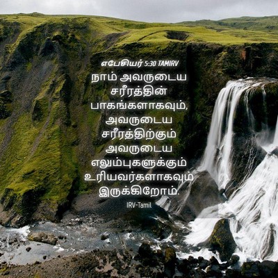 Picture 04 - எபேசியர் 5:30 TAMIRV - நாம் அவருடைய - Bible Verse Picture