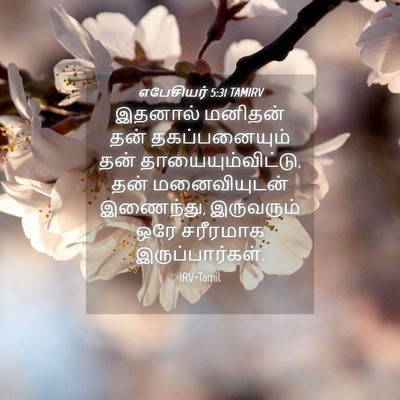 Picture 04 - எபேசியர் 5:31 TAMIRV - இதனால் மனிதன் தன் - Bible Verse Picture