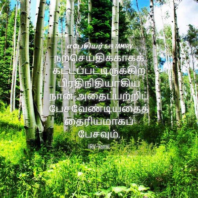 Picture 04 - எபேசியர் 6:19 TAMIRV - நற்செய்திக்காகக் - Bible Verse Picture