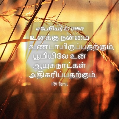 Picture 04 - எபேசியர் 6:2 TAMIRV - உனக்கு நன்மை - Bible Verse Picture