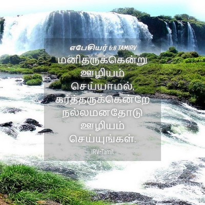Picture 04 - எபேசியர் 6:8 TAMIRV - மனிதருக்கென்று - Bible Verse Picture