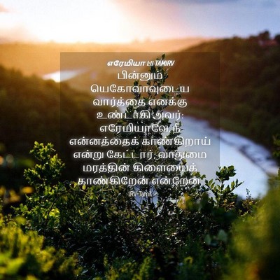 Picture 04 - எரேமியா 1:11 TAMIRV - பின்னும் - Bible Verse Picture