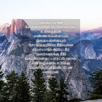 Picture 04 - எரேமியா 11:20 TAMIRV - சேனைகளின் - Bible Verse Picture