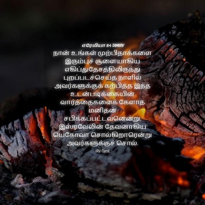 Picture 04 - எரேமியா 11:4 TAMIRV - நான் உங்கள் - Bible Verse Picture