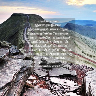Picture 04 - எரேமியா 11:5 TAMIRV - இன்றையதினம் - Bible Verse Picture