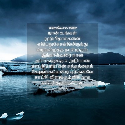 Picture 04 - எரேமியா 11:7 TAMIRV - நான் உங்கள் - Bible Verse Picture