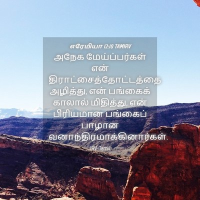 Picture 04 - எரேமியா 12:10 TAMIRV - அநேக மேய்ப்பர்கள் - Bible Verse Picture