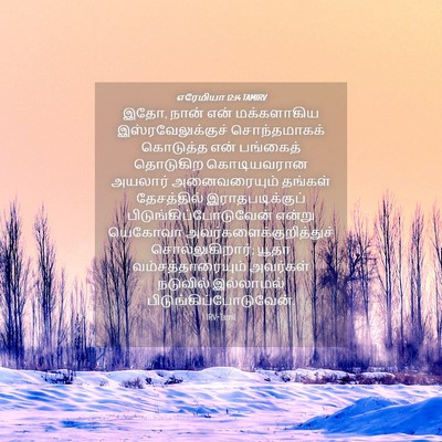 Picture 04 - எரேமியா 12:14 TAMIRV - இதோ, நான் என் - Bible Verse Picture