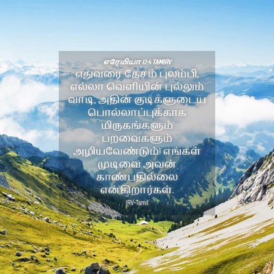 Picture 04 - எரேமியா 12:4 TAMIRV - எதுவரை தேசம் - Bible Verse Picture