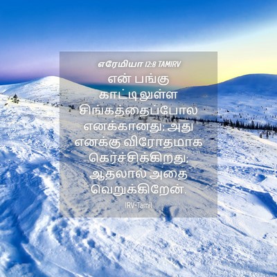 Picture 04 - எரேமியா 12:8 TAMIRV - என் பங்கு - Bible Verse Picture