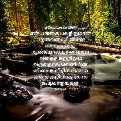 Picture 04 - எரேமியா 12:9 TAMIRV - என் பங்கை - Bible Verse Picture