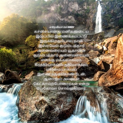 Picture 04 - எரேமியா 13:11 TAMIRV - கச்சையானது - Bible Verse Picture