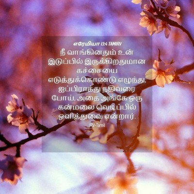 Picture 04 - எரேமியா 13:4 TAMIRV - நீ வாங்கினதும் - Bible Verse Picture