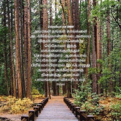 Picture 04 - எரேமியா 14:10 TAMIRV - அவர்கள் தங்கள் - Bible Verse Picture