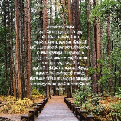 Picture 04 - எரேமியா 14:13 TAMIRV - அப்பொழுது நான்: ஆ - Bible Verse Picture