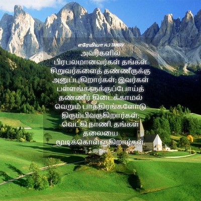 Picture 04 - எரேமியா 14:3 TAMIRV - அவர்களில் - Bible Verse Picture
