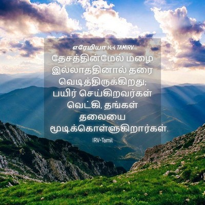 Picture 04 - எரேமியா 14:4 TAMIRV - தேசத்தின்மேல் மழை - Bible Verse Picture