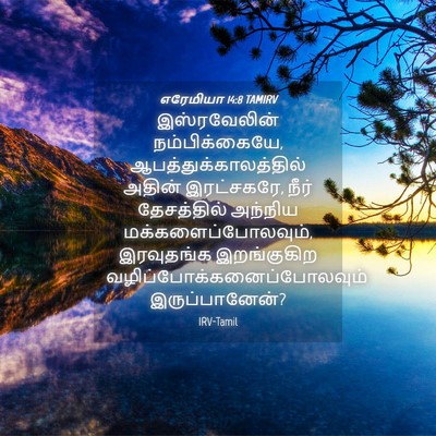Picture 04 - எரேமியா 14:8 TAMIRV - இஸ்ரவேலின் - Bible Verse Picture