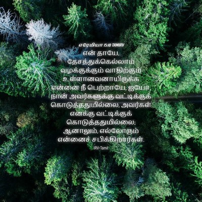 Picture 04 - எரேமியா 15:10 TAMIRV - என் தாயே, - Bible Verse Picture