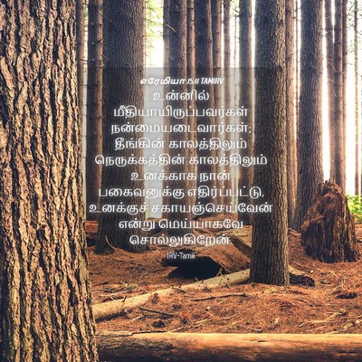 Picture 04 - எரேமியா 15:11 TAMIRV - உன்னில் - Bible Verse Picture