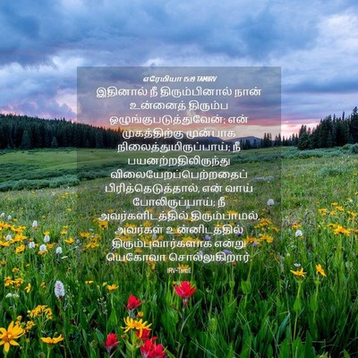 Picture 04 - எரேமியா 15:19 TAMIRV - இதினால் நீ - Bible Verse Picture