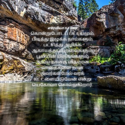 Picture 04 - எரேமியா 15:3 TAMIRV - கொன்றுபோடப் - Bible Verse Picture