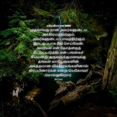 Picture 04 - எரேமியா 16:18 TAMIRV - முதலாவது நான் - Bible Verse Picture