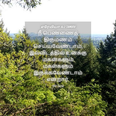 Picture 04 - எரேமியா 16:2 TAMIRV - நீ பெண்ணைத் - Bible Verse Picture