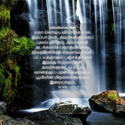 Picture 04 - எரேமியா 16:4 TAMIRV - மகா கொடிய - Bible Verse Picture