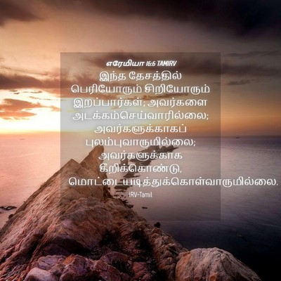 Picture 04 - எரேமியா 16:6 TAMIRV - இந்த தேசத்தில் - Bible Verse Picture