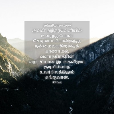Picture 04 - எரேமியா 17:6 TAMIRV - அவன் - Bible Verse Picture