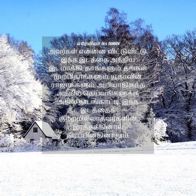 Picture 04 - எரேமியா 19:4 TAMIRV - அவர்கள் என்னை - Bible Verse Picture