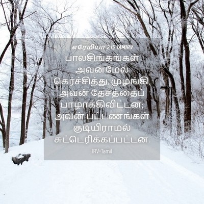Picture 04 - எரேமியா 2:15 TAMIRV - பாலசிங்கங்கள் - Bible Verse Picture