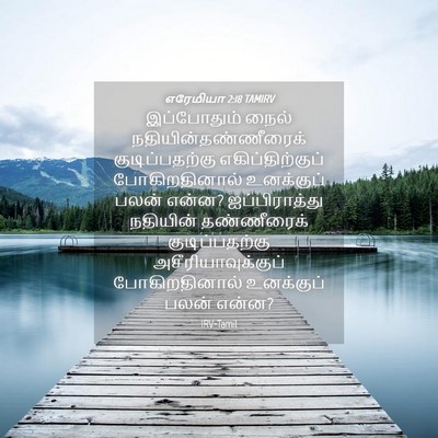 Picture 04 - எரேமியா 2:18 TAMIRV - இப்போதும் நைல் - Bible Verse Picture