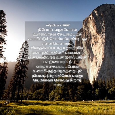Picture 04 - எரேமியா 2:2 TAMIRV - நீ போய், - Bible Verse Picture
