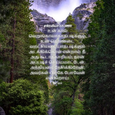 Picture 04 - எரேமியா 2:25 TAMIRV - உன் கால் - Bible Verse Picture