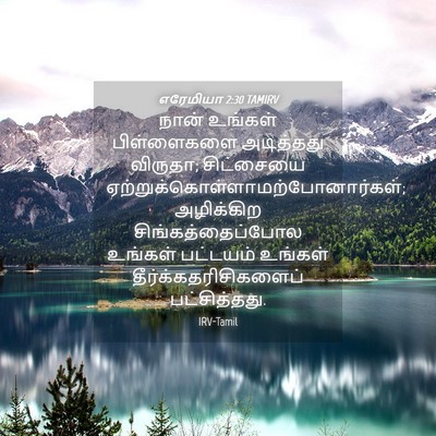 Picture 04 - எரேமியா 2:30 TAMIRV - நான் உங்கள் - Bible Verse Picture