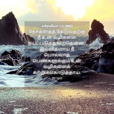 Picture 04 - எரேமியா 2:33 TAMIRV - நேசத்தைத் - Bible Verse Picture