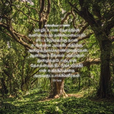 Picture 04 - எரேமியா 2:7 TAMIRV - செழிப்பான - Bible Verse Picture
