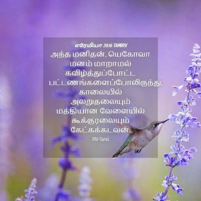 Picture 04 - எரேமியா 20:16 TAMIRV - அந்த மனிதன், - Bible Verse Picture