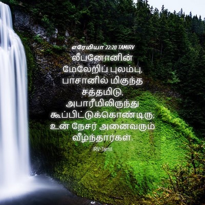Picture 04 - எரேமியா 22:20 TAMIRV - லீபனோனின் - Bible Verse Picture