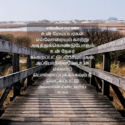 Picture 04 - எரேமியா 22:22 TAMIRV - உன் மேய்ப்பர்கள் - Bible Verse Picture