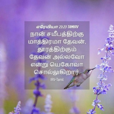 Picture 04 - எரேமியா 23:23 TAMIRV - நான் சமீபத்திற்கு - Bible Verse Picture