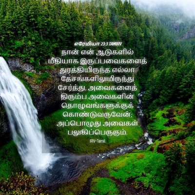 Picture 04 - எரேமியா 23:3 TAMIRV - நான் என் ஆடுகளில் - Bible Verse Picture