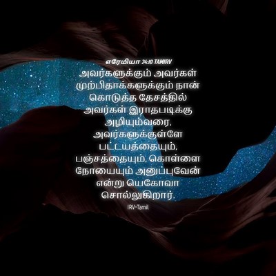 Picture 04 - எரேமியா 24:10 TAMIRV - அவர்களுக்கும் - Bible Verse Picture