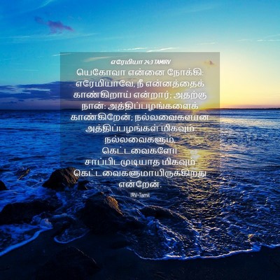 Picture 04 - எரேமியா 24:3 TAMIRV - யெகோவா என்னை - Bible Verse Picture