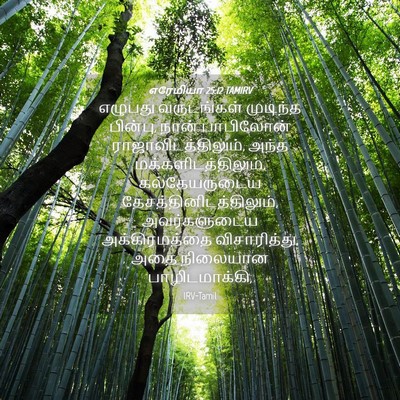 Picture 04 - எரேமியா 25:12 TAMIRV - எழுபது வருடங்கள் - Bible Verse Picture