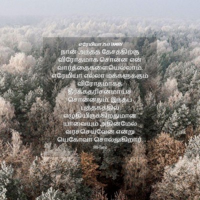 Picture 04 - எரேமியா 25:13 TAMIRV - நான் அந்தத் - Bible Verse Picture
