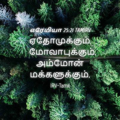 Picture 04 - எரேமியா 25:21 TAMIRV - ஏதோமுக்கும், - Bible Verse Picture