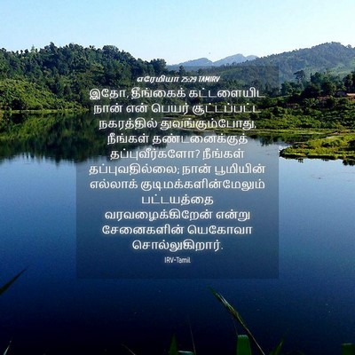 Picture 04 - எரேமியா 25:29 TAMIRV - இதோ, தீங்கைக் - Bible Verse Picture
